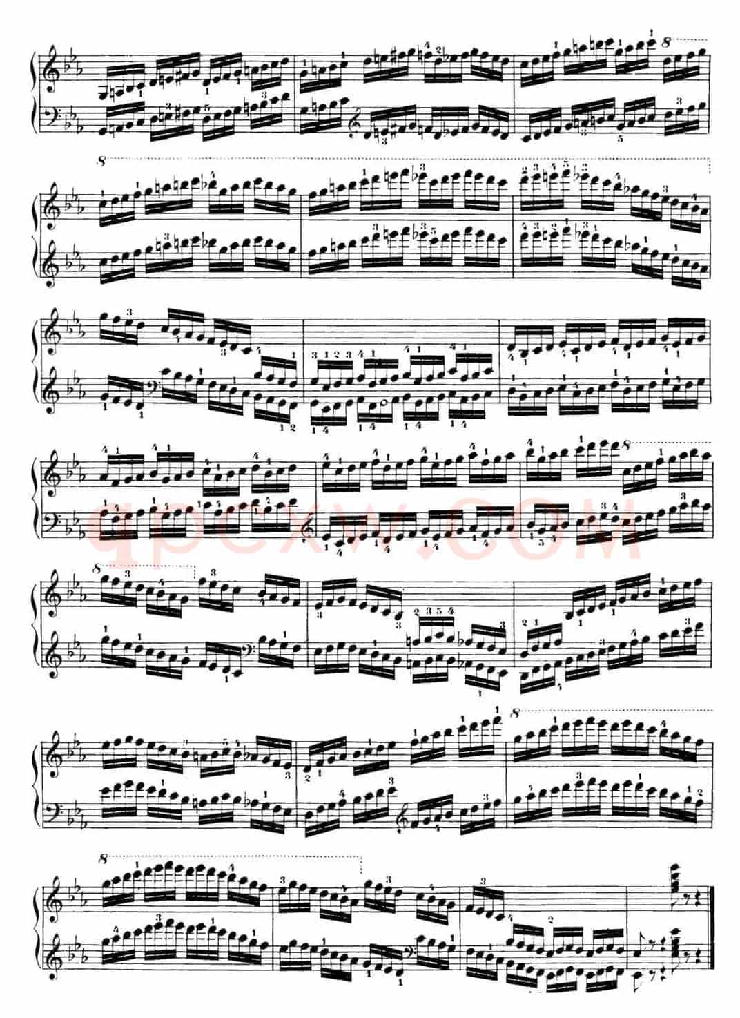 40首车尔尼Op.299钢琴快速练习曲（NO.25）