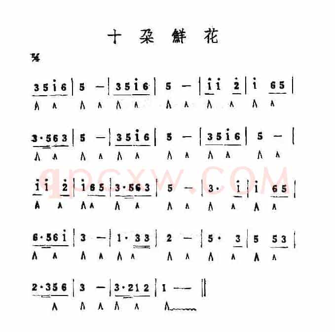 十朵鲜花