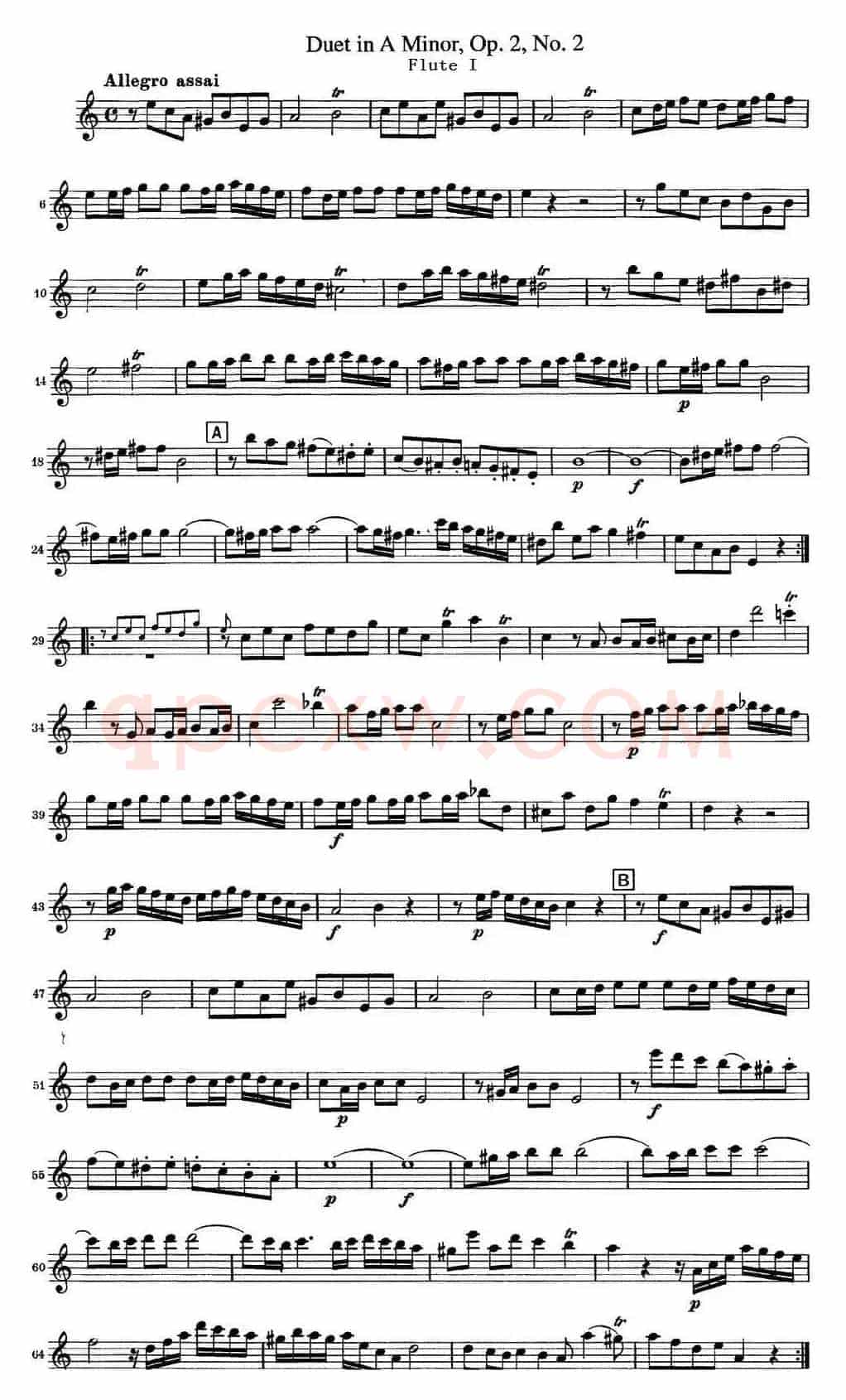 匡茨G大调长笛二重奏Op.2——Flute 1（No.2）