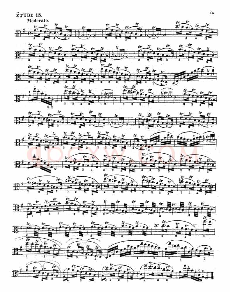 克莱采尔《中提琴练习曲40首》（ETUDE 14-16）
