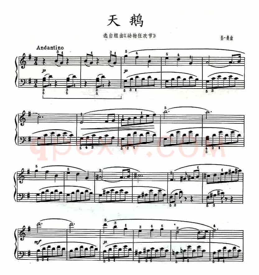 天鹅（选自组曲《动物狂欢节》）