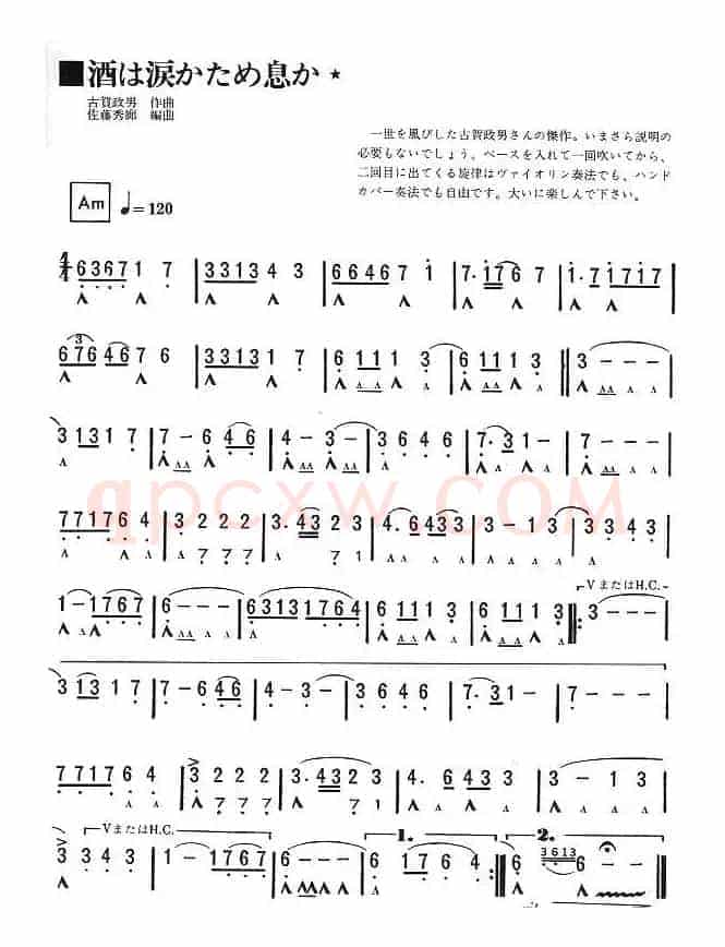 泪和酒