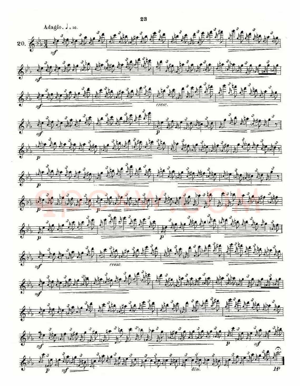 Andersen etude op30 之13—24（练习曲作品30号）