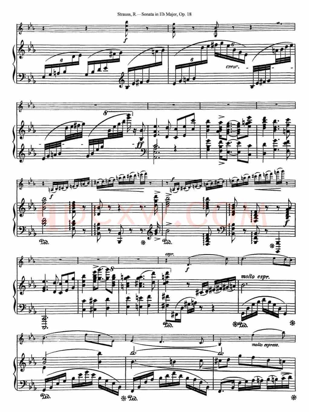 Violin Sonata in Eb Major Op.18（小提琴+钢琴伴奏）