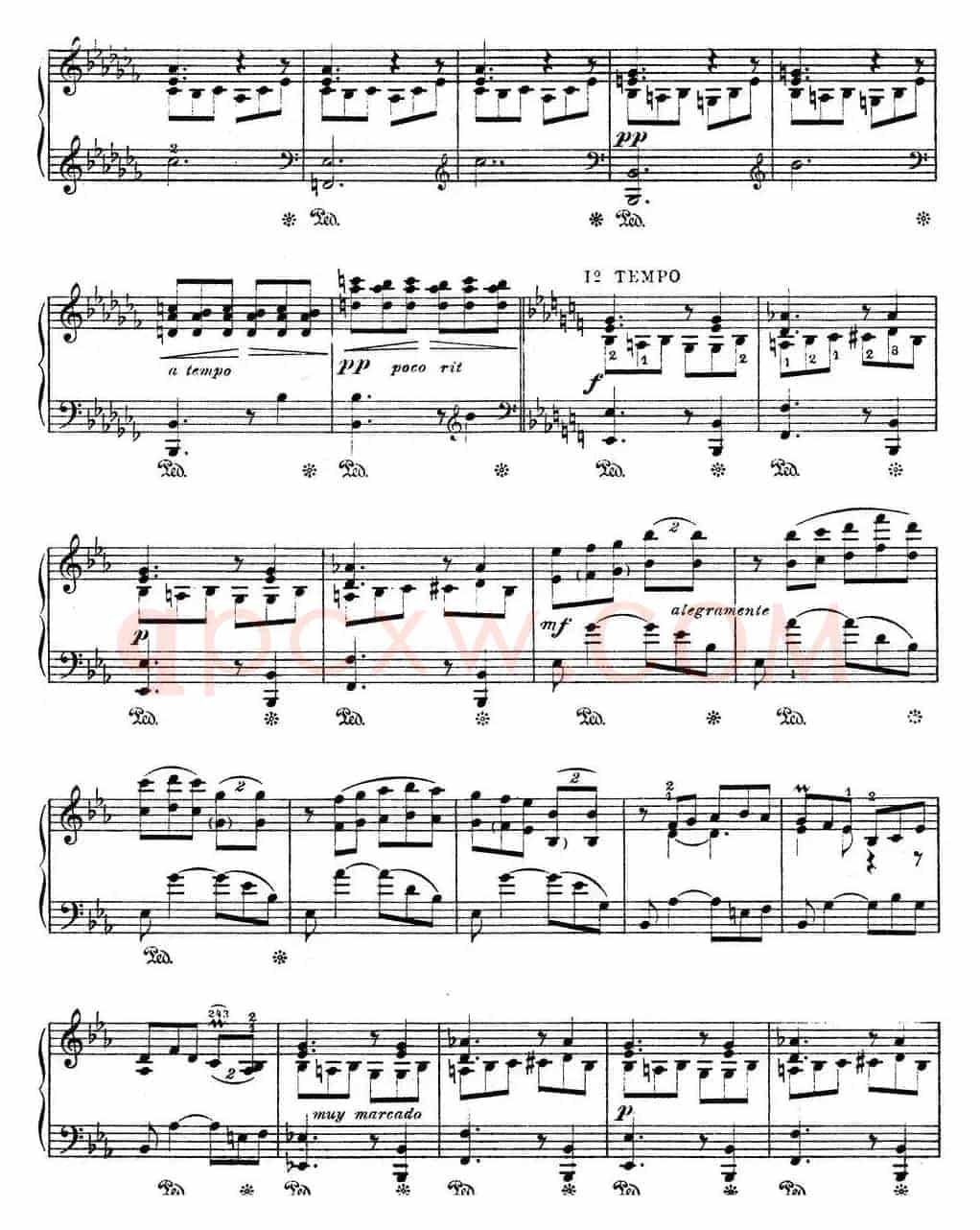 Suite Espanola Op.47（西班牙组曲·Ⅷ）