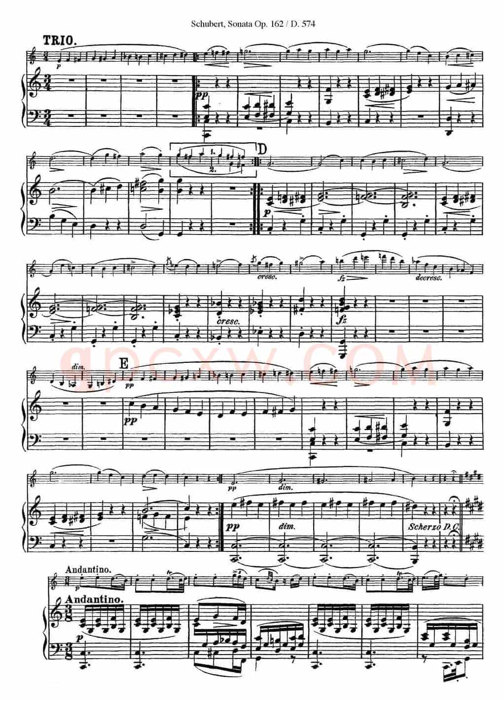 Violin Sonata in A major Op.162 D.574（小提琴+钢琴伴奏）