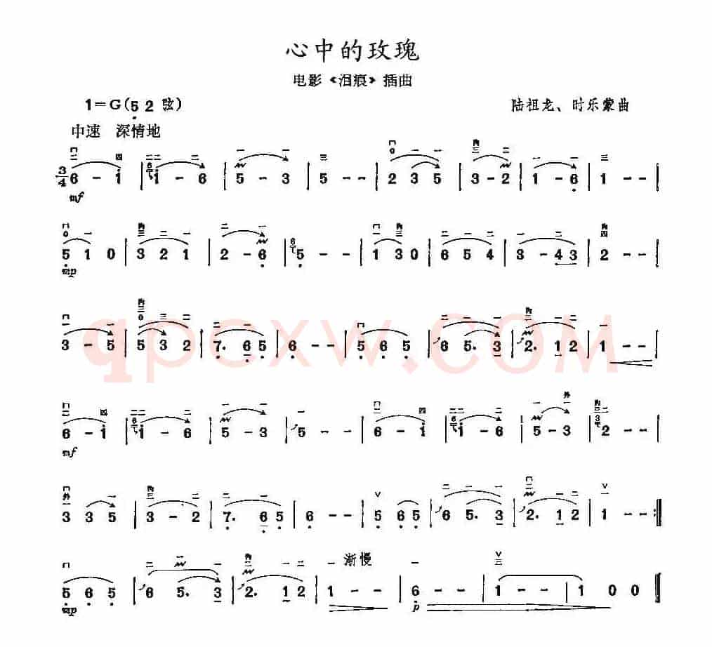 心中的玫瑰