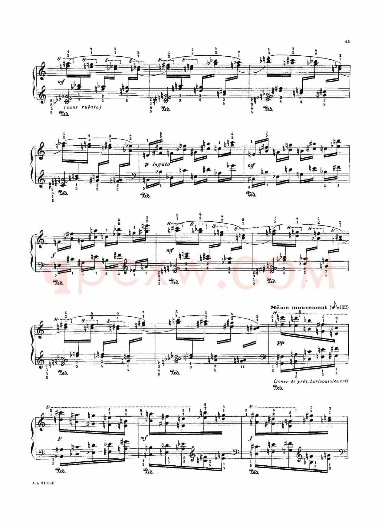 La Fauvette des Jardins（园林莺）