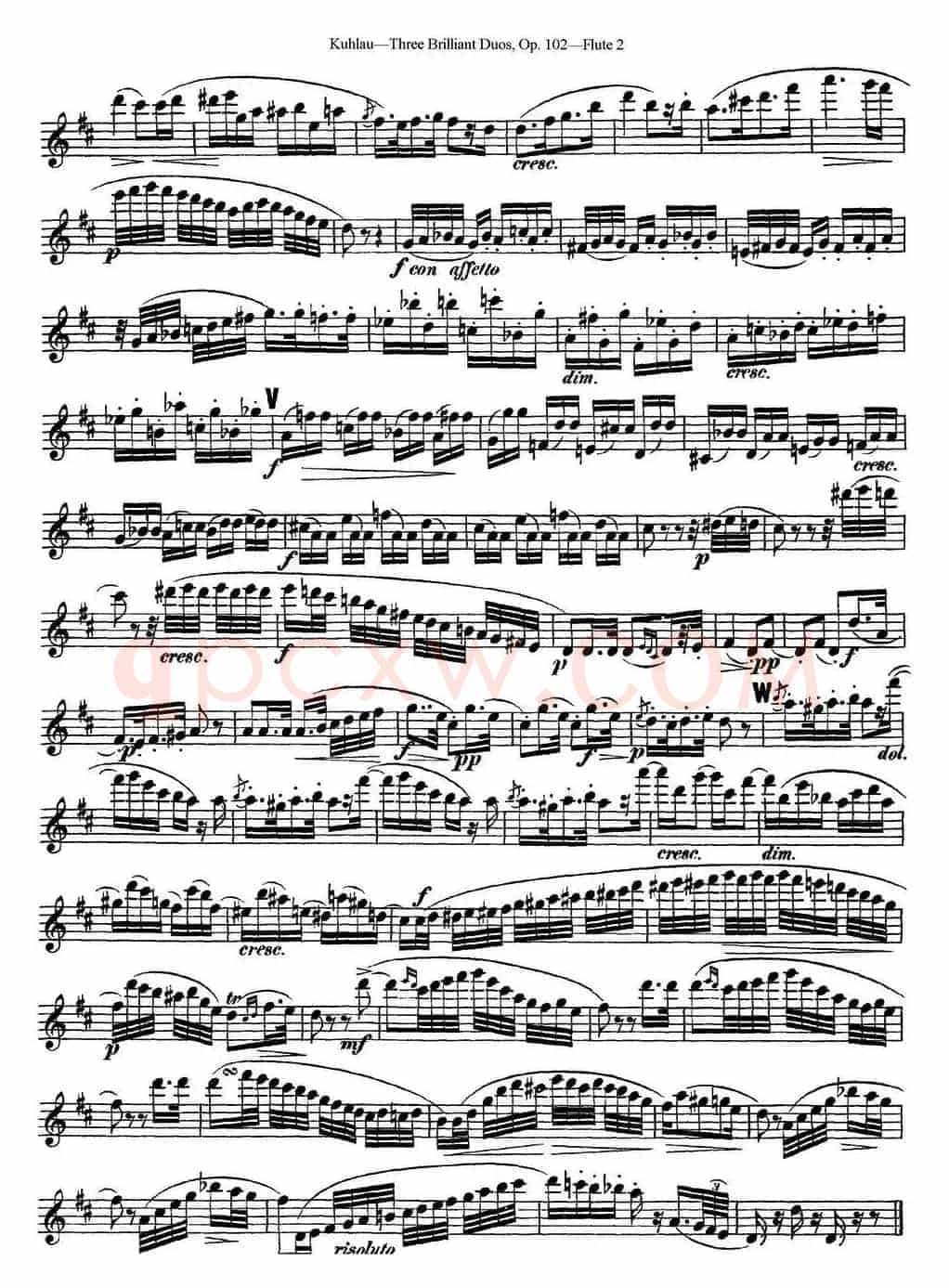 库劳长笛二重奏练习三段OP.102——Flute 2（NO.1）