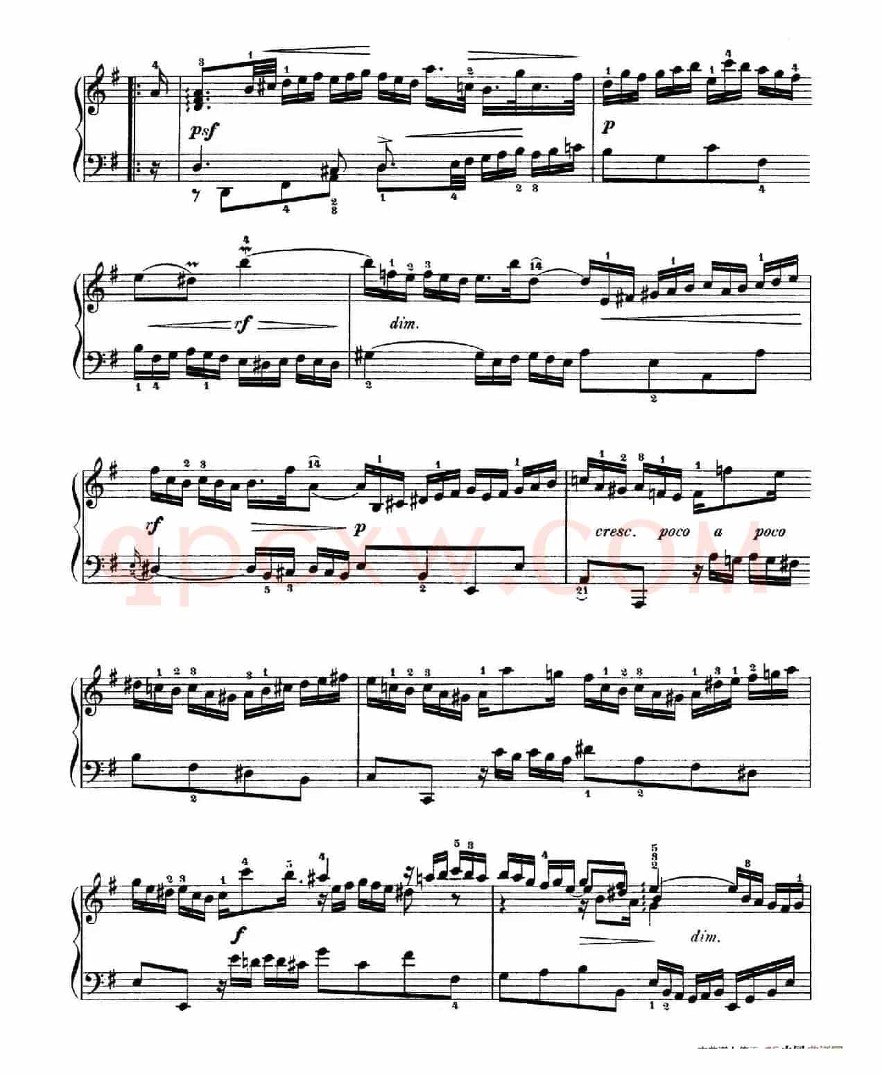 Six Partitas BWV 825-830(6首帕蒂塔·5)