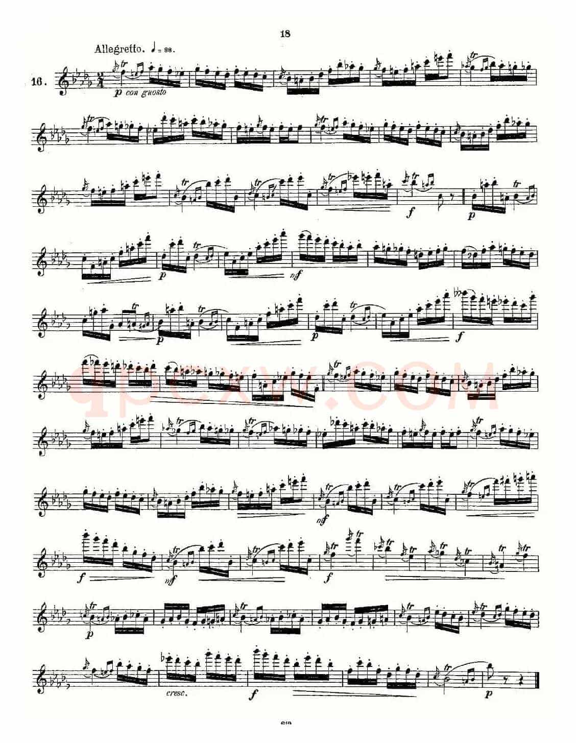 Andersen etude op30 之13—24（练习曲作品30号）