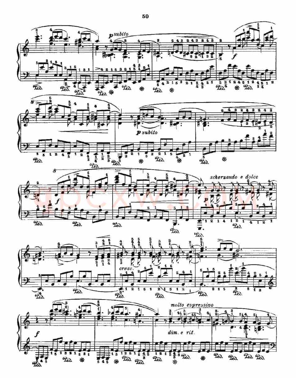 肖邦《练习曲》Fr.Chopin Op.10 No5-3