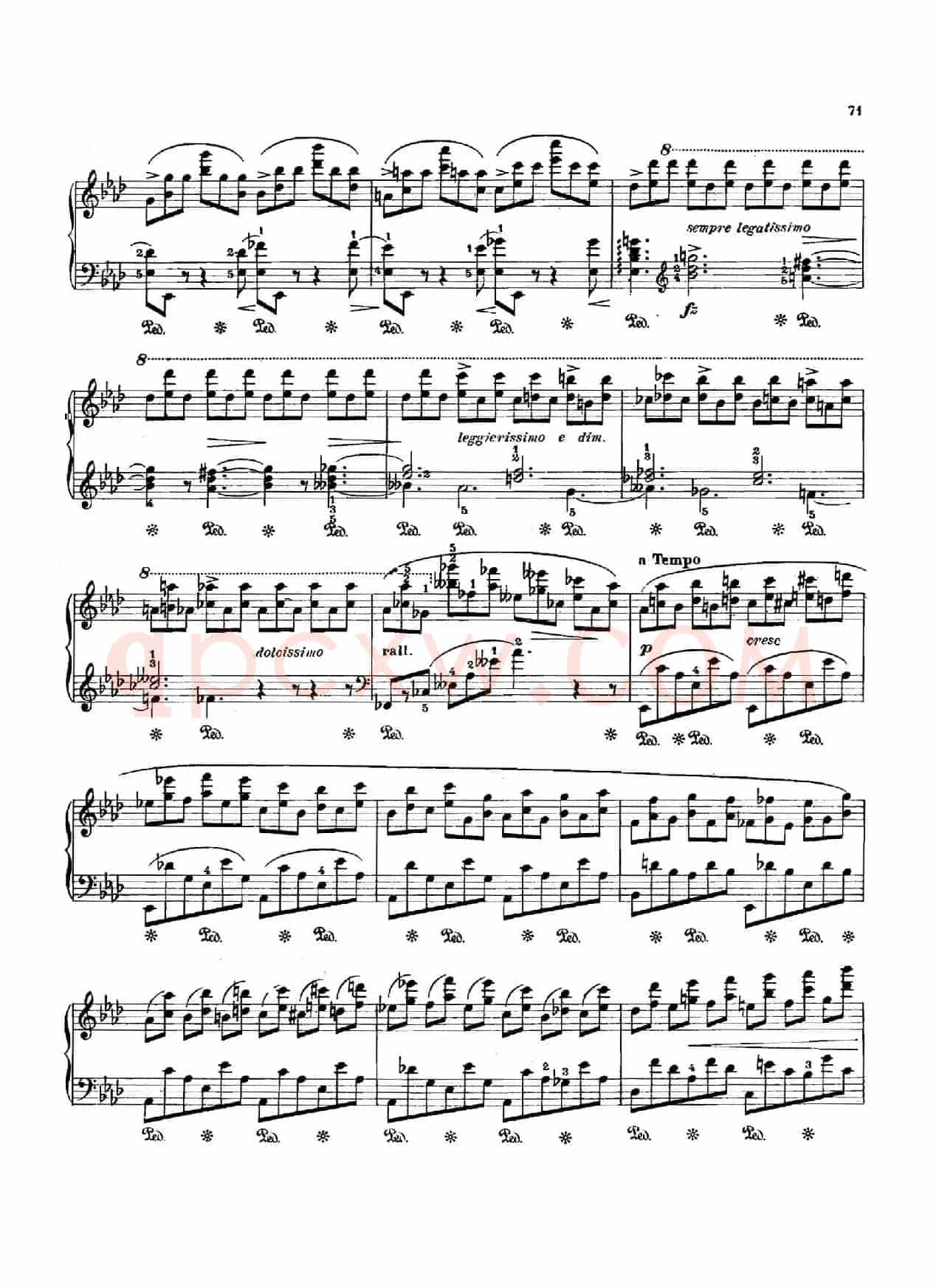 12 Etudes Op.10 柯尔托教学版（12首练习曲·10）