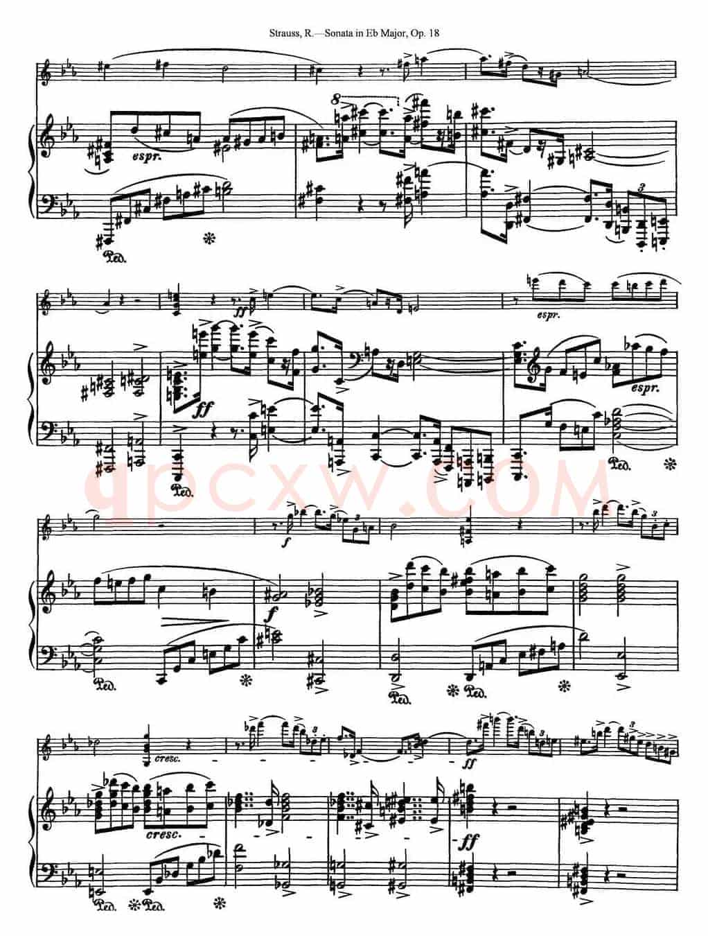 Violin Sonata in Eb Major Op.18（小提琴+钢琴伴奏）
