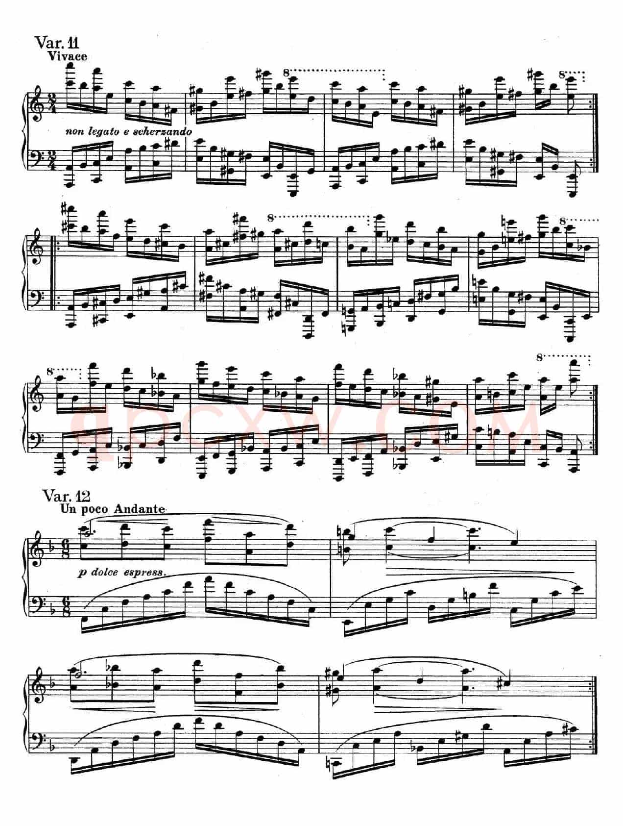 帕格尼尼主题变奏曲（Op.35 Livre2）