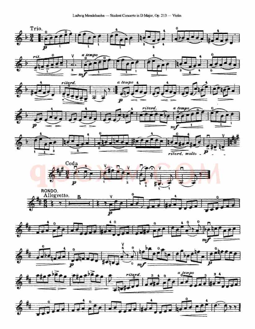 Student Concerto in D Major