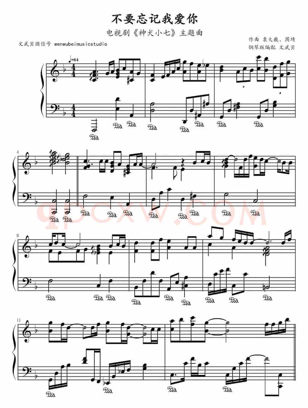 不要忘记我爱你（电视剧《神犬小七》主题曲）