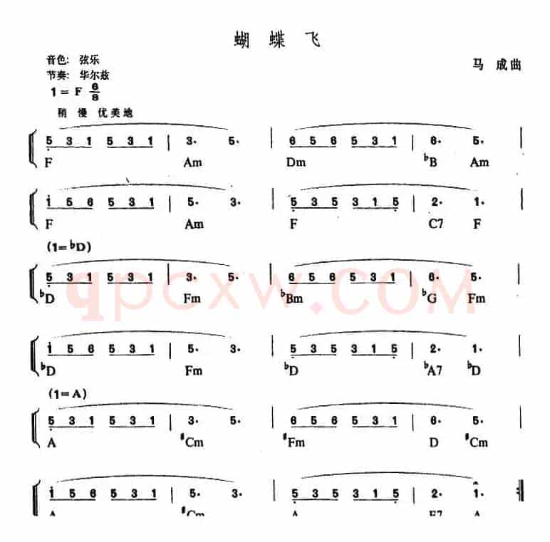 幼儿律动音乐：蝴蝶飞