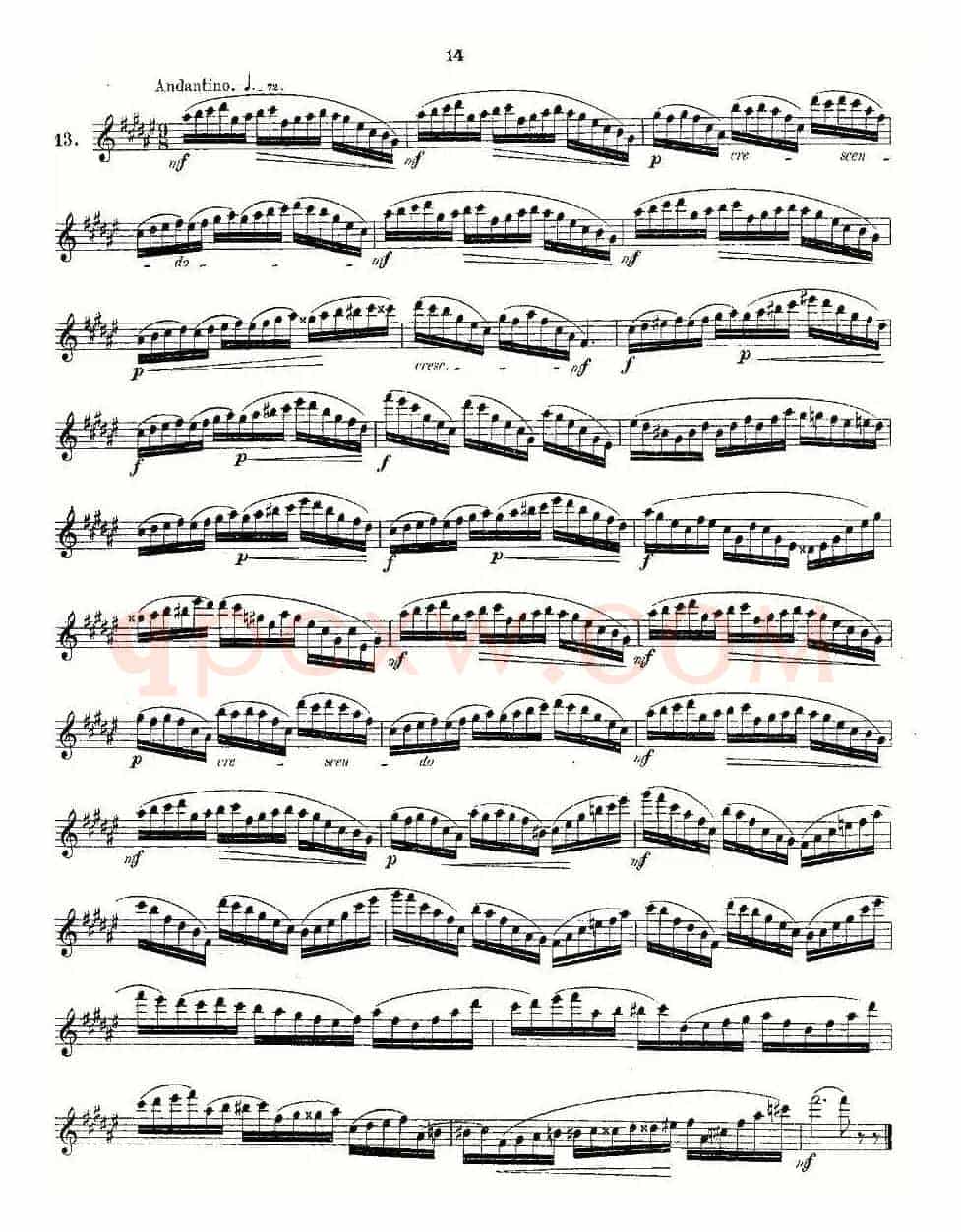 24 instructive Uebungen.Op.30（13—24）