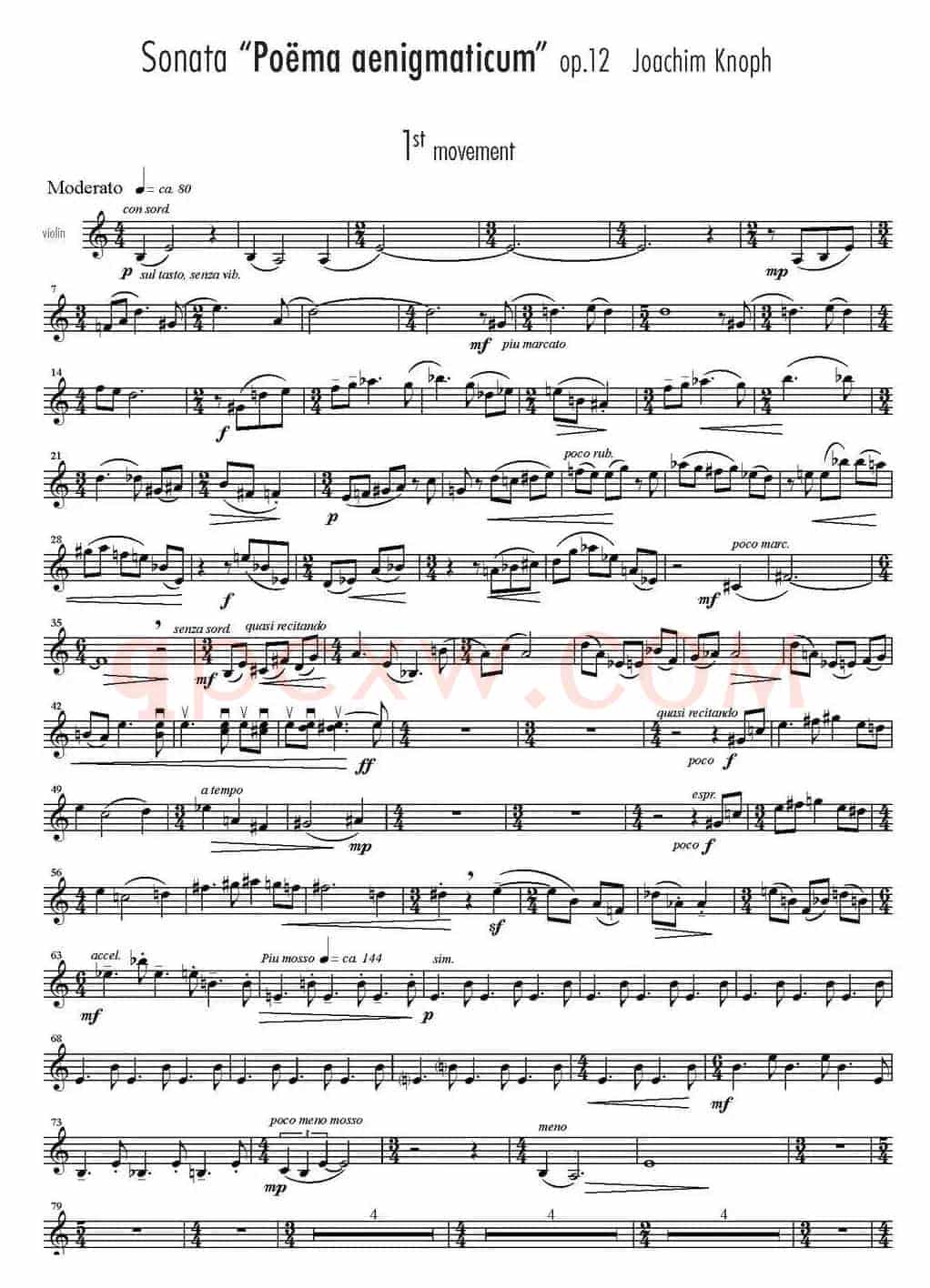 Sonata Poema aenigmaticum