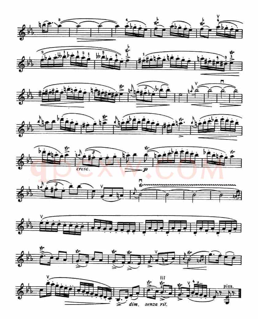 Hora Staccato
