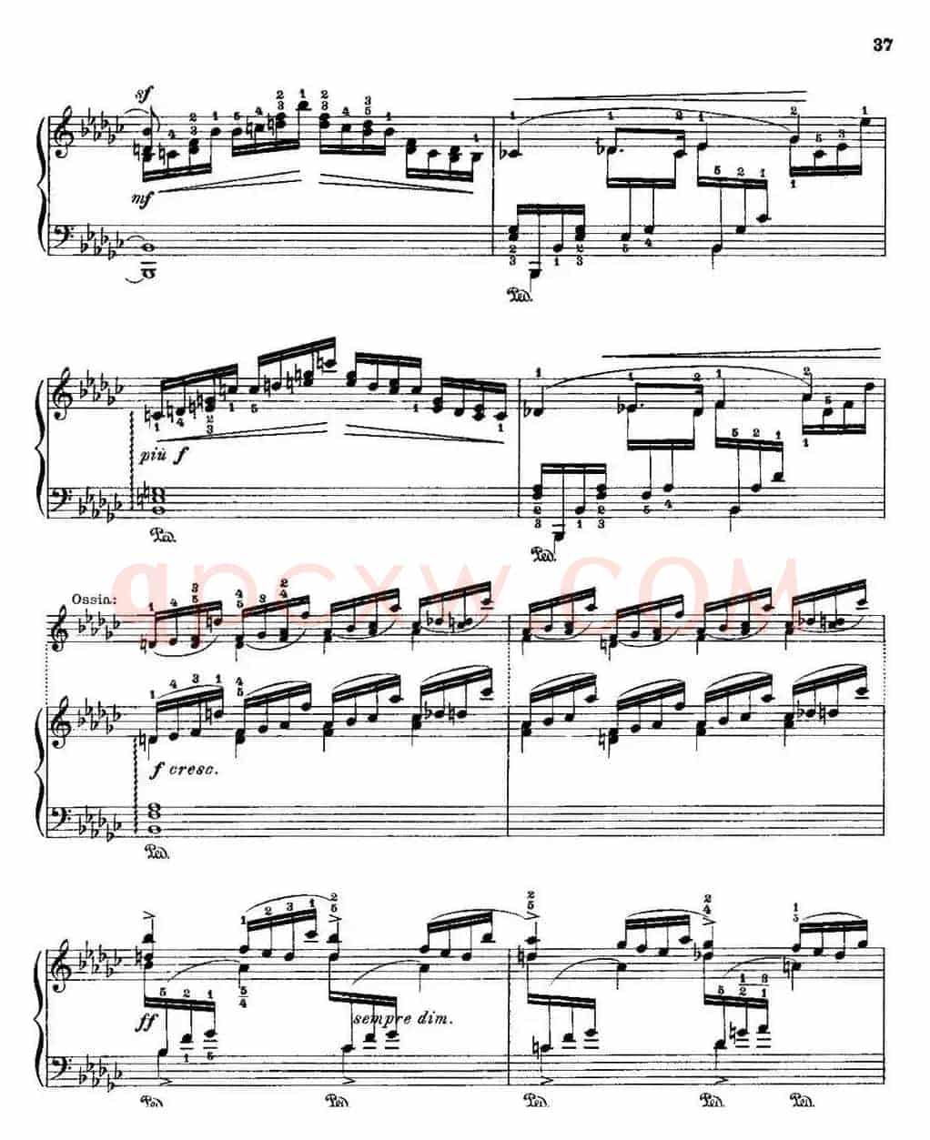53首改编练习曲（No.16A）