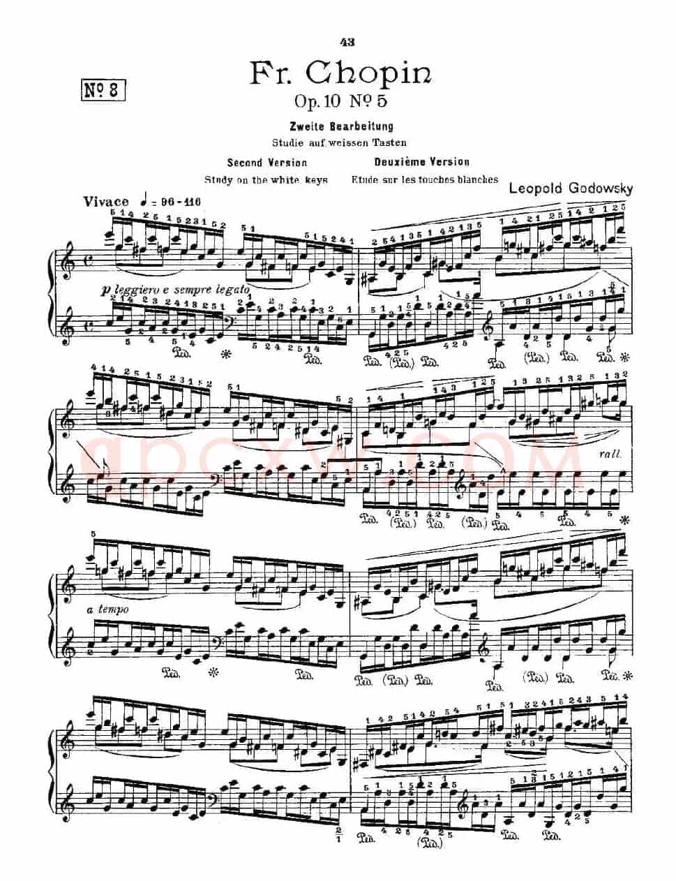 肖邦《练习曲》Fr.Chopin Op.10 No5-2