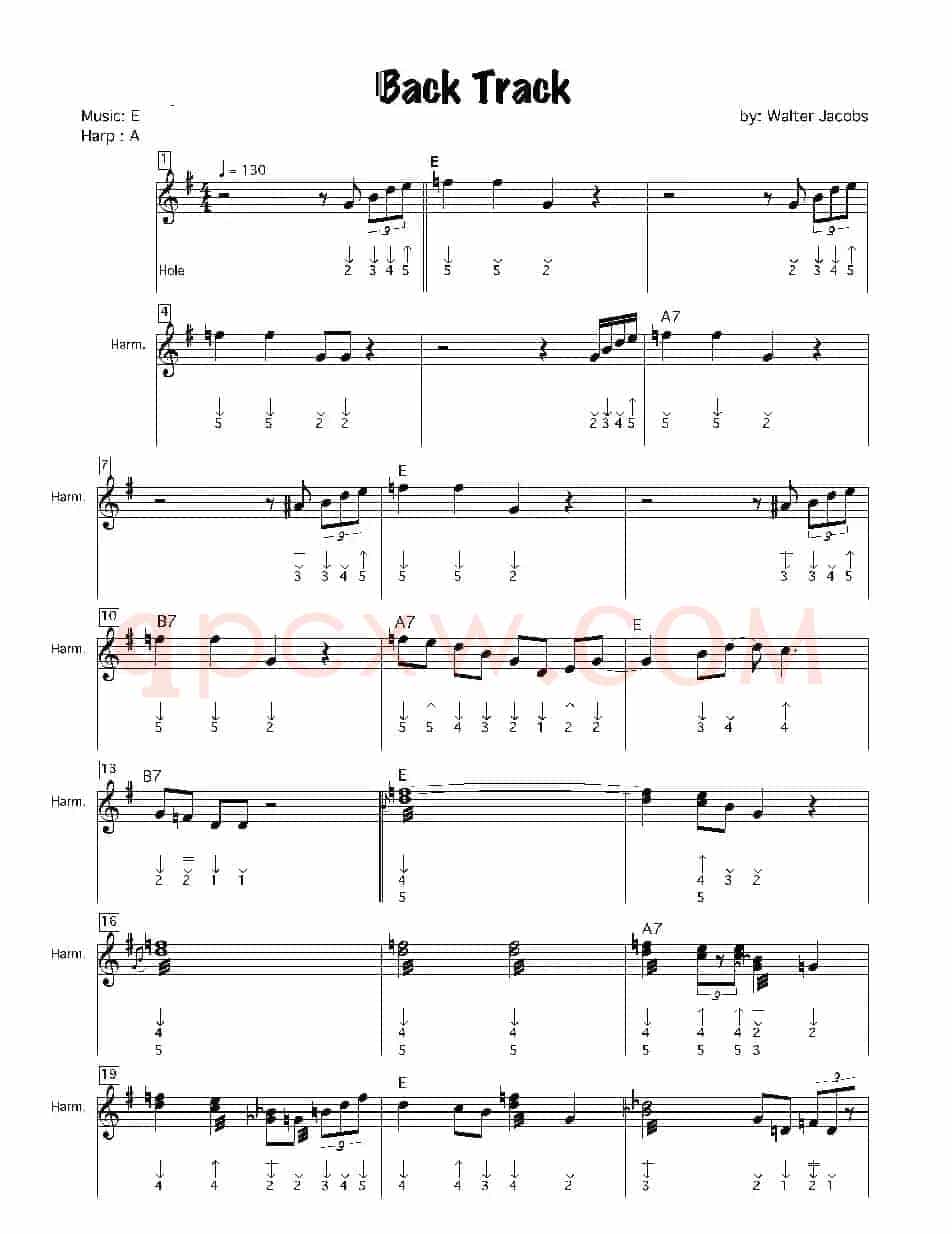 back track（布鲁斯）