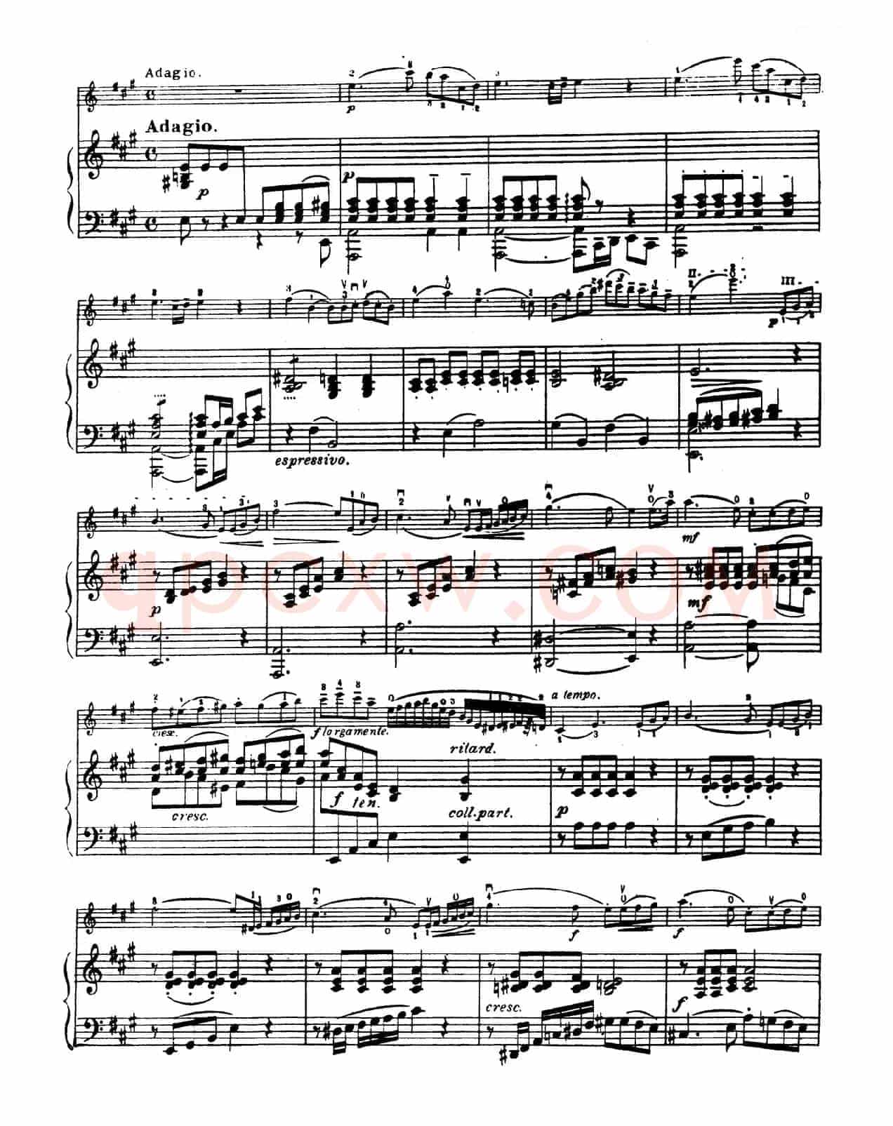 D大调学生协奏曲（塞茨作品第7号）