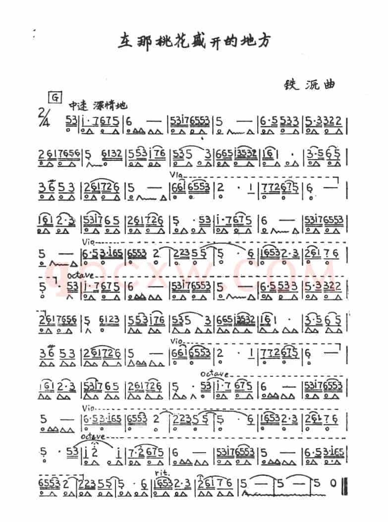 在那桃花盛开的地方