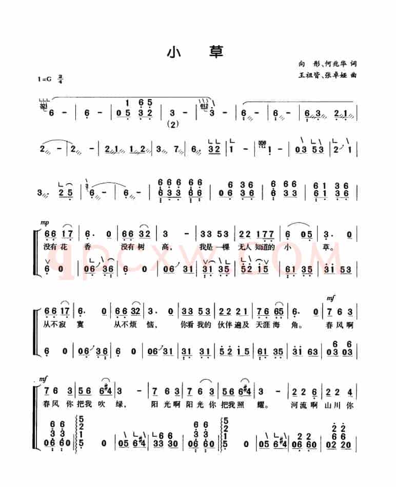 小草（弹唱谱）