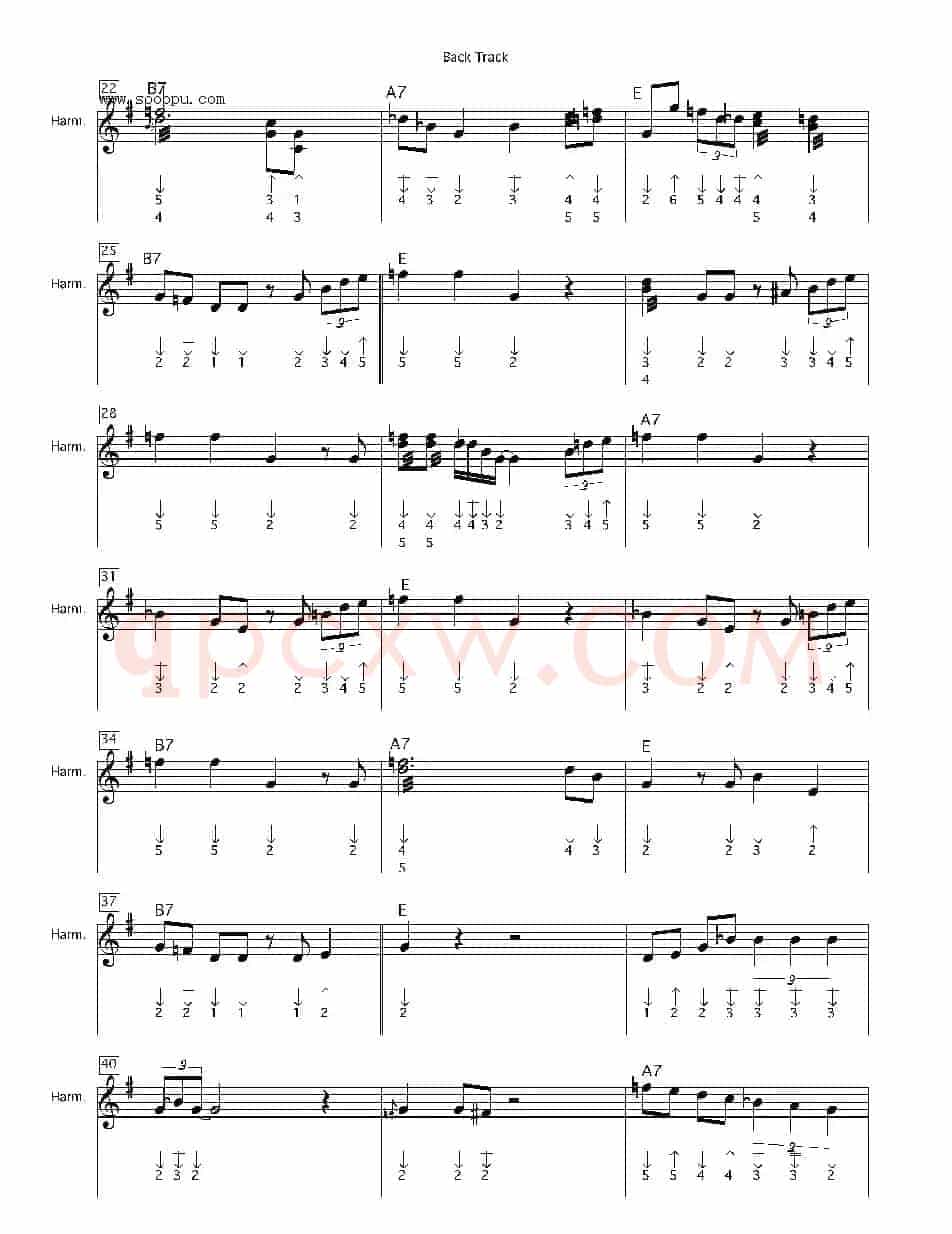 back track（布鲁斯）