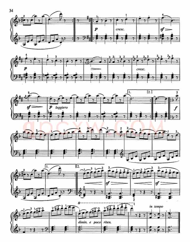 不可不弹的世界钢琴名曲：塔兰泰拉舞曲