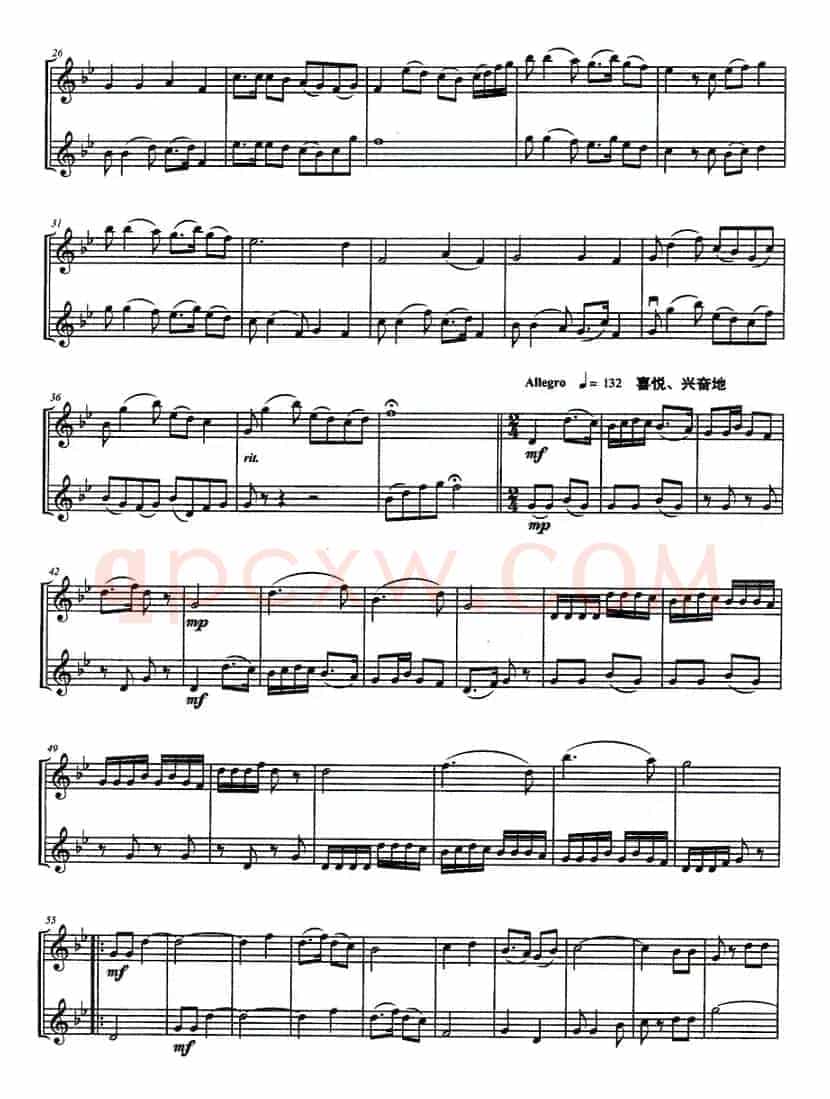 琴思（张飞龙作曲版、二胡重奏曲）