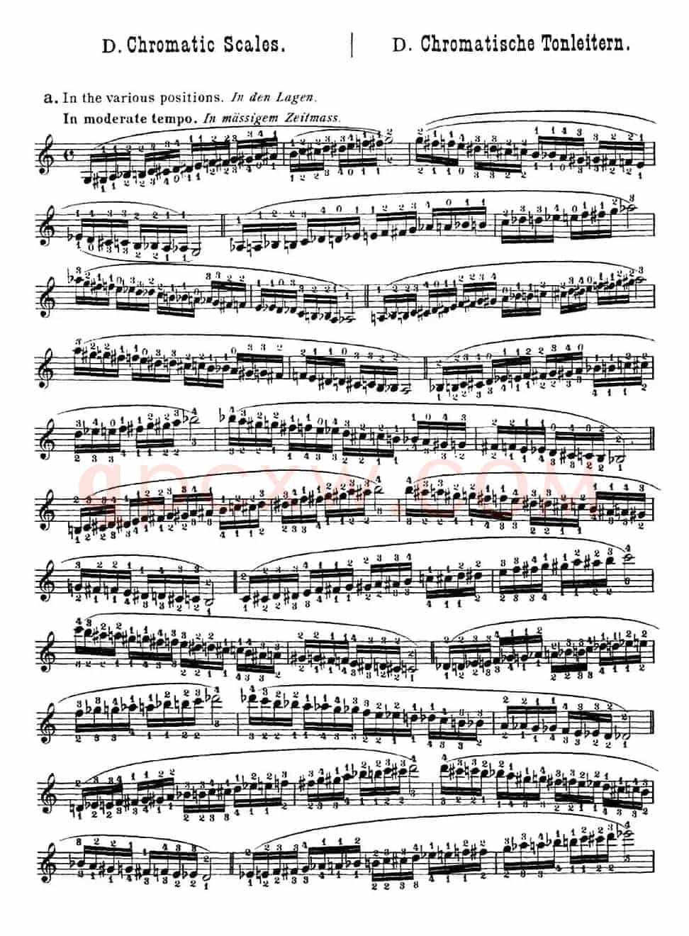 小提琴音阶练习·作品32（Scale Studie-D）
