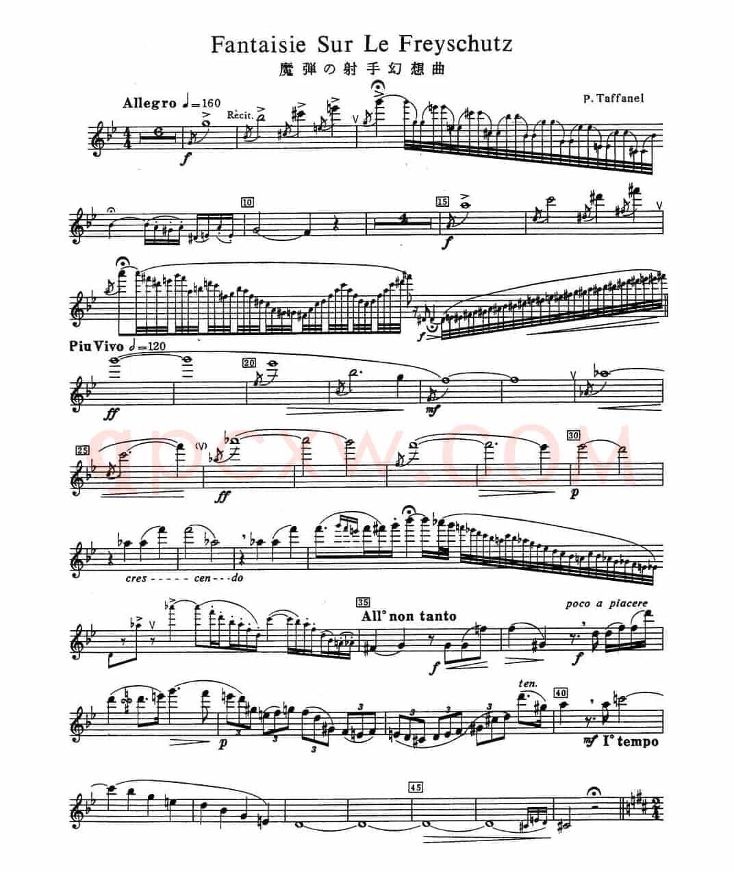 Fantaisie Sur Le Freyschutz（魔弹射手幻想曲）（
