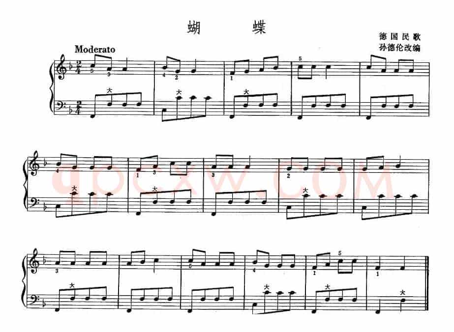 蝴蝶