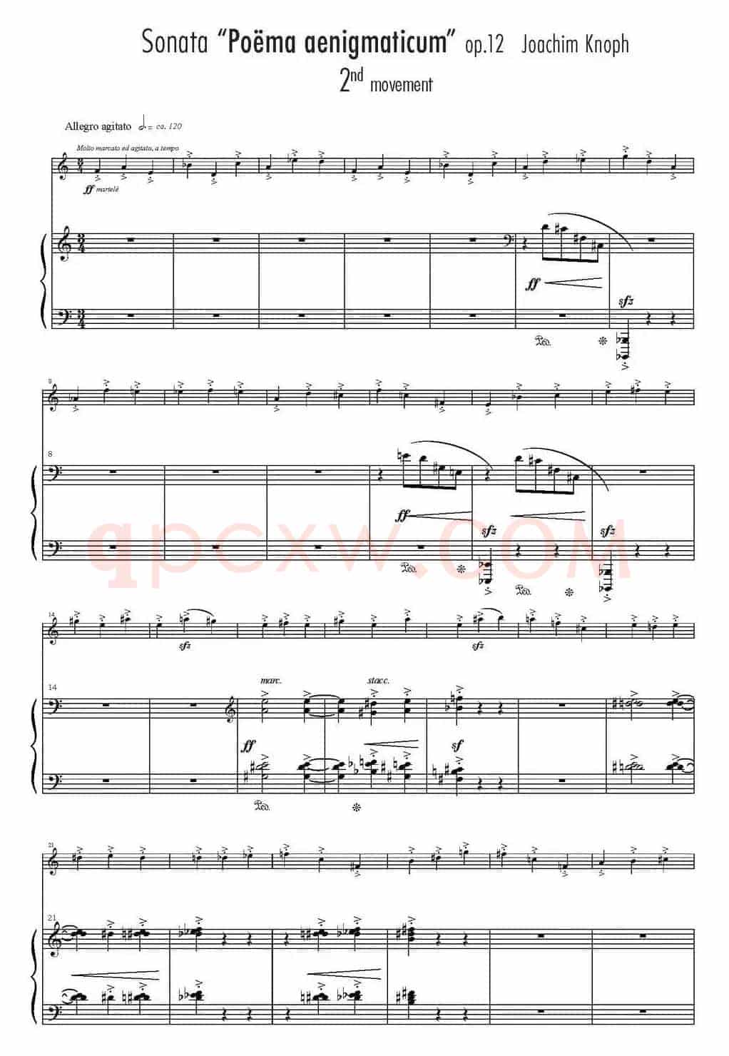 Sonata Poema aenigmaticum（小提琴+钢琴伴奏、2nd movement）