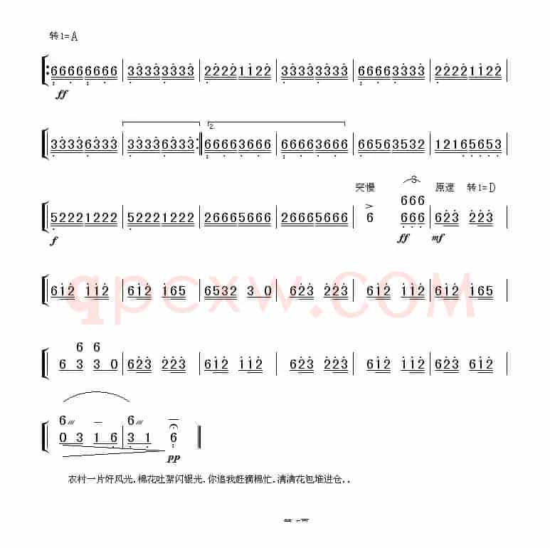 喜摘丰收棉