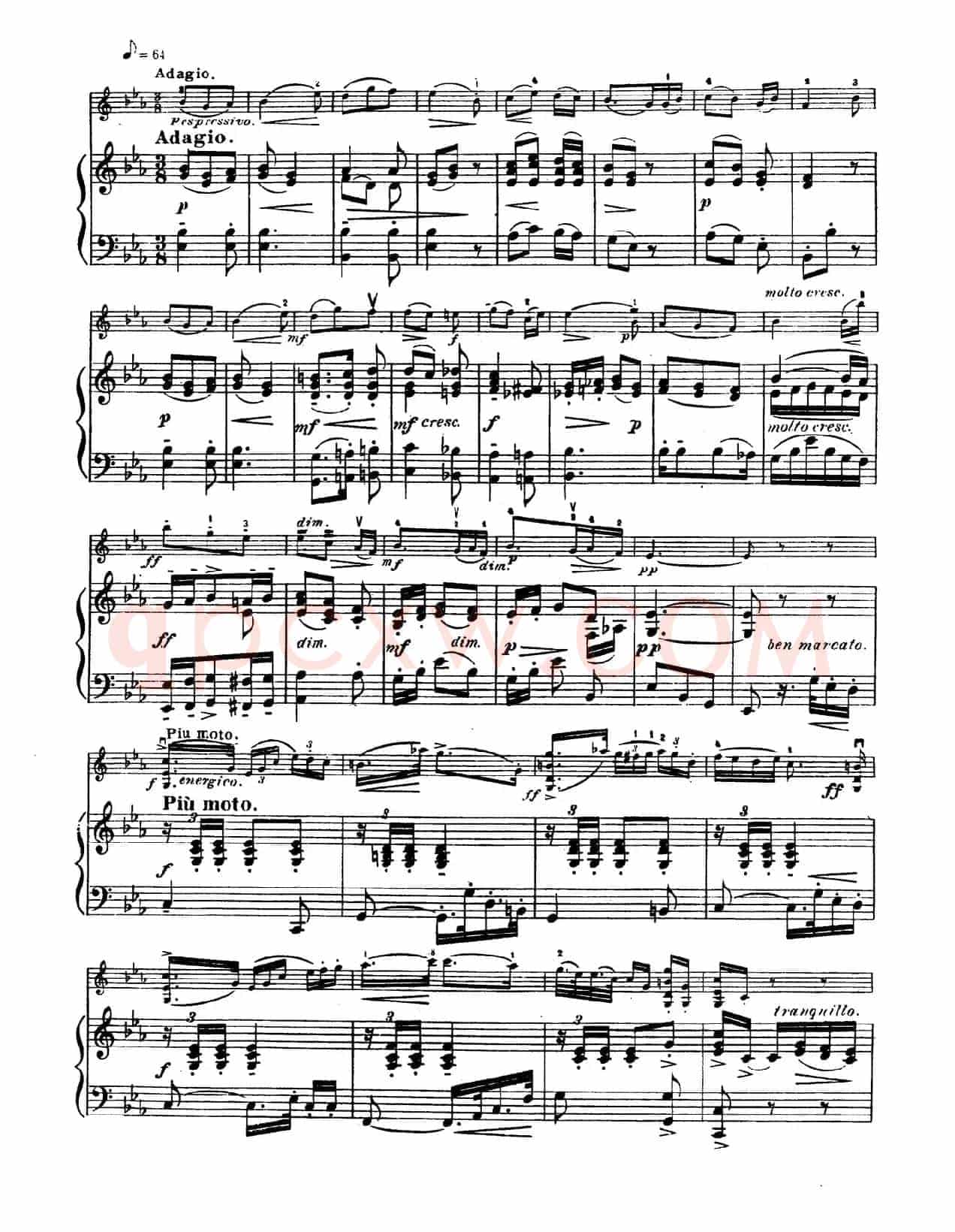 g小调学生协奏曲（塞茨作品第12号）