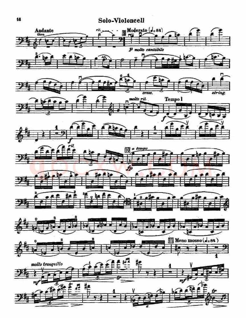 CELLO CONCERTO in B minor（大提琴）