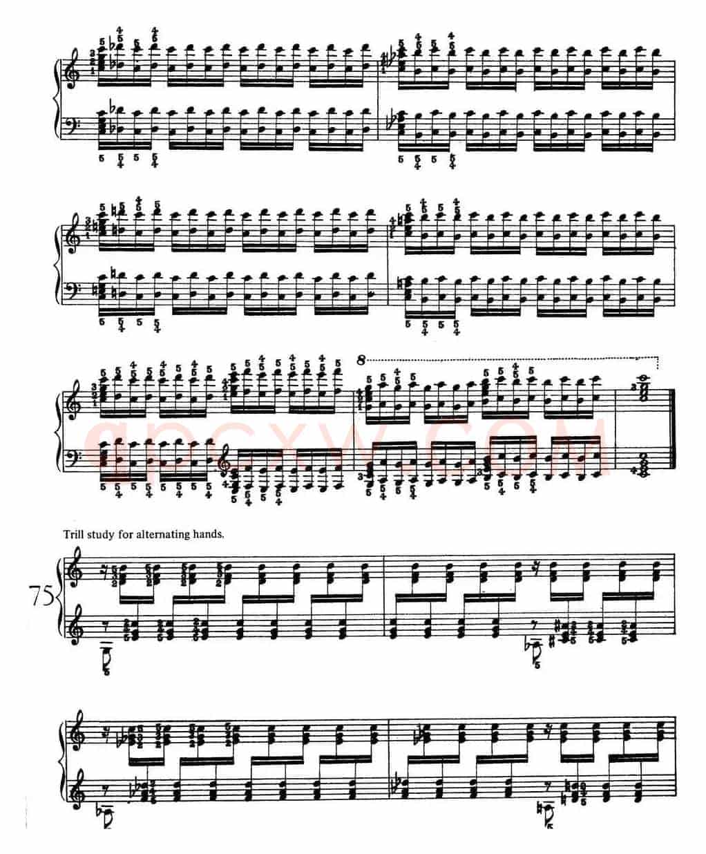 Technical Exercises S.146(李斯特钢琴技巧练习 BOOK Ⅷ)