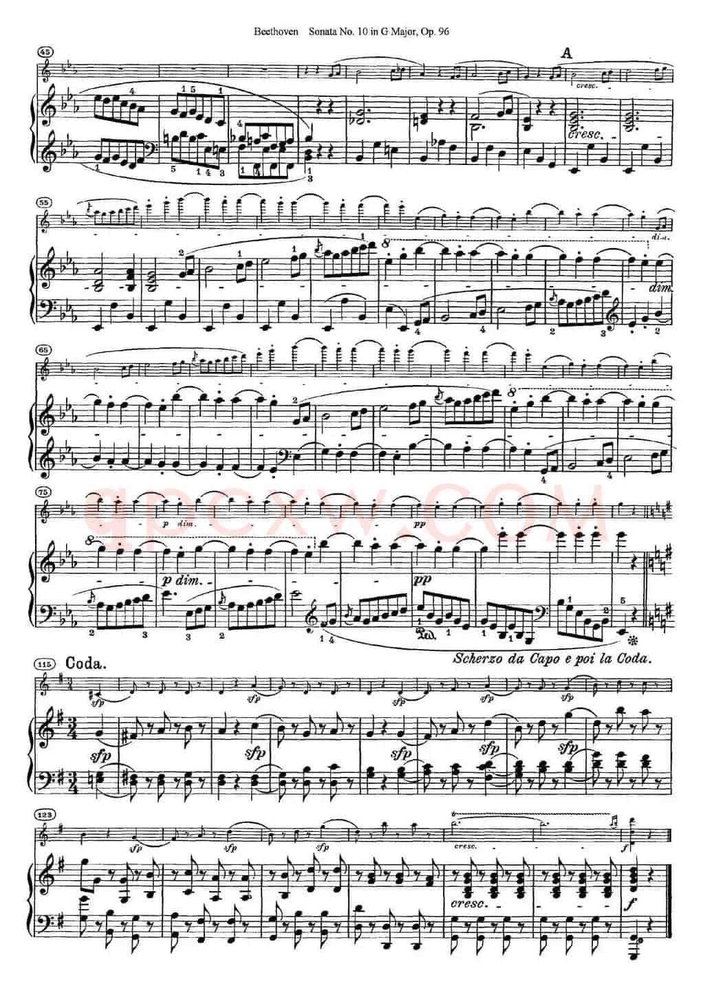 Violin Sonata No.10 in G Major Op.96（小提琴+钢琴伴奏）
