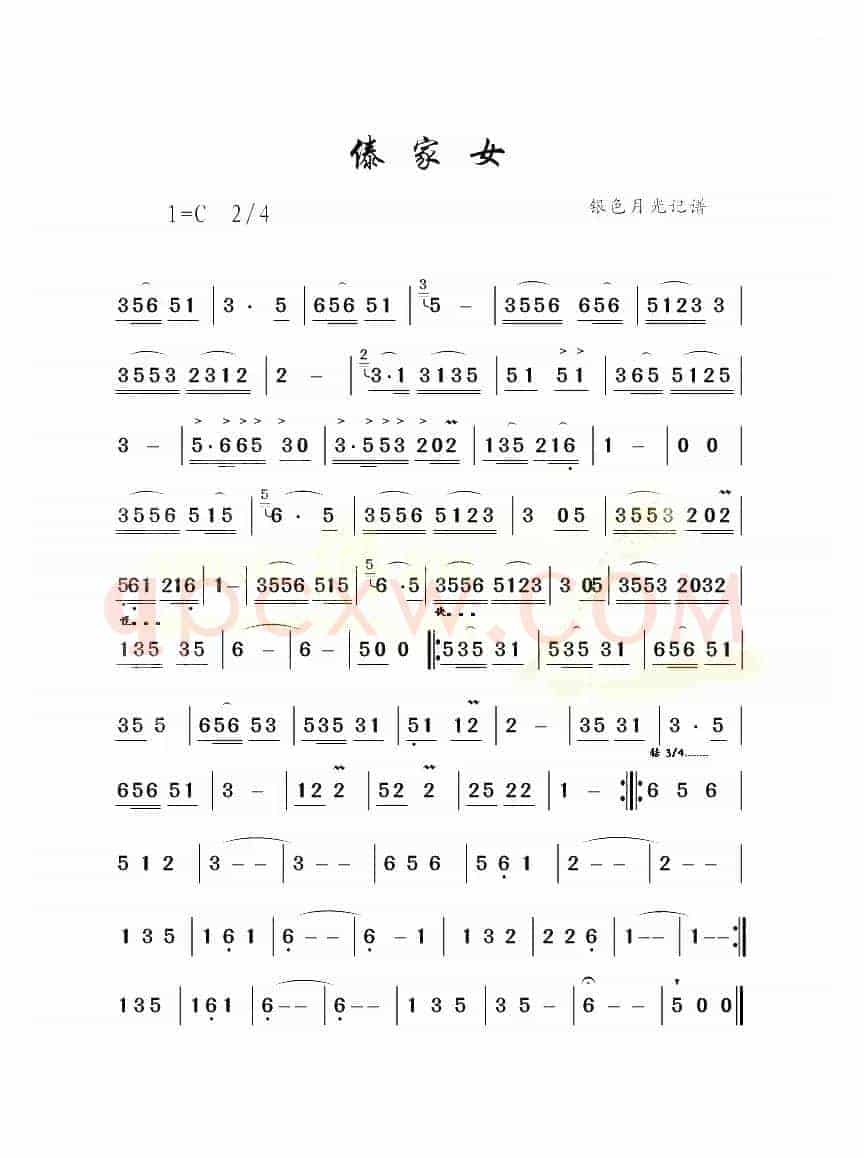 傣家女
