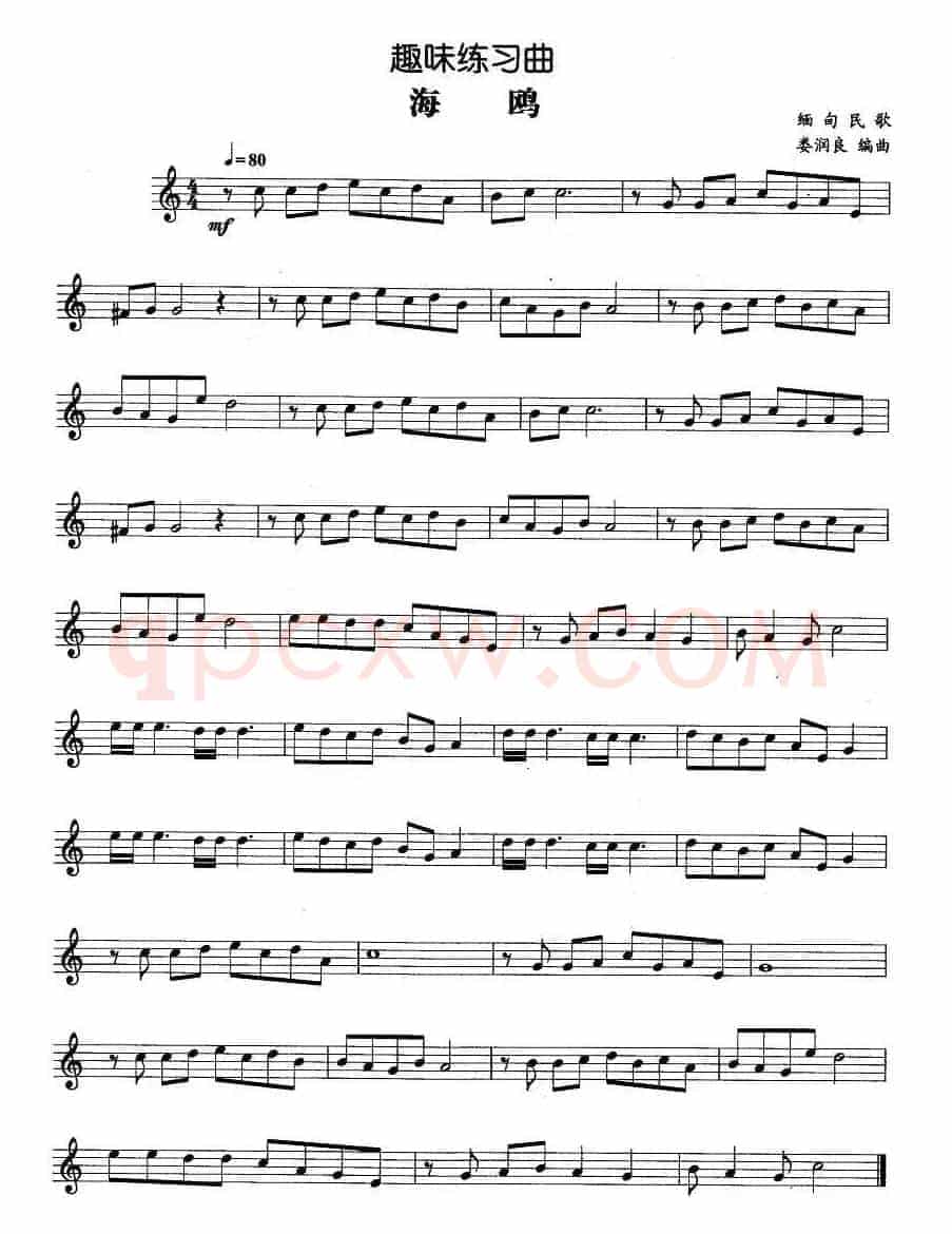趣味练习曲：海鸥