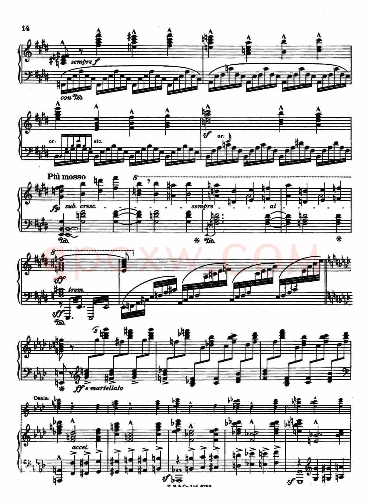 Warsaw Concerto（华沙协奏曲）