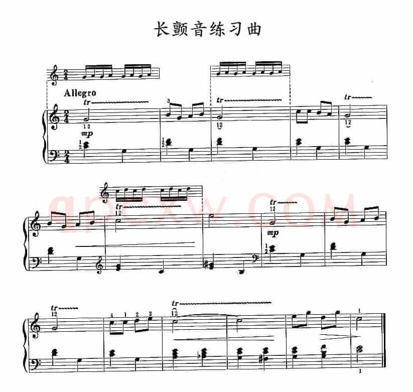 长颤音练习曲