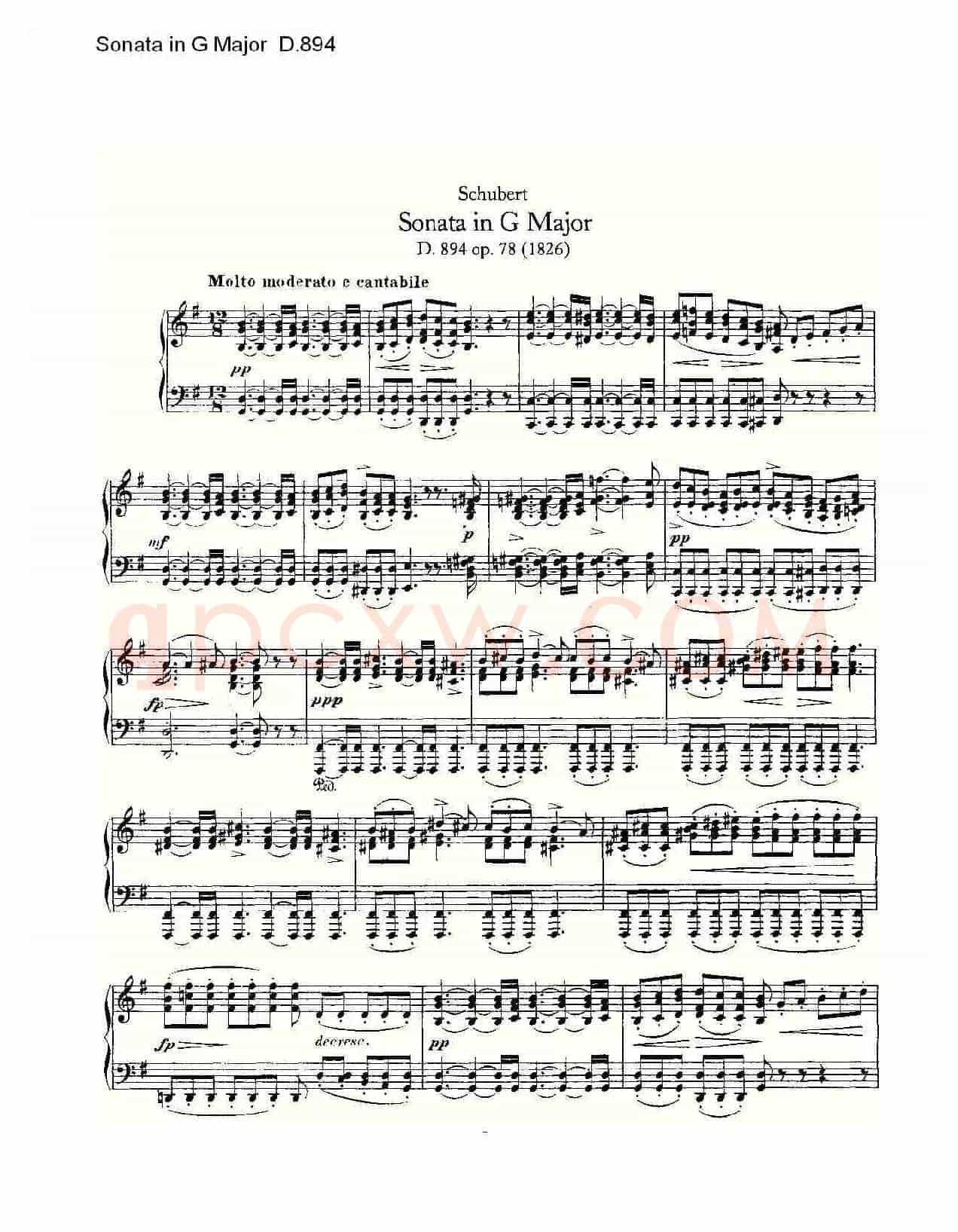 Sonata in G Major D.894(G大调奏鸣曲 D.894)