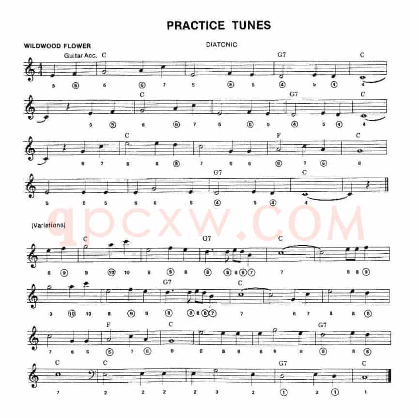 PRACTICE TUNES（布鲁斯入门初级乐曲2首、五线谱）