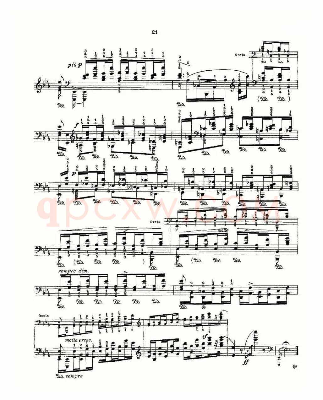 肖邦《练习曲》Fr.Chopin Op.10 No7-3